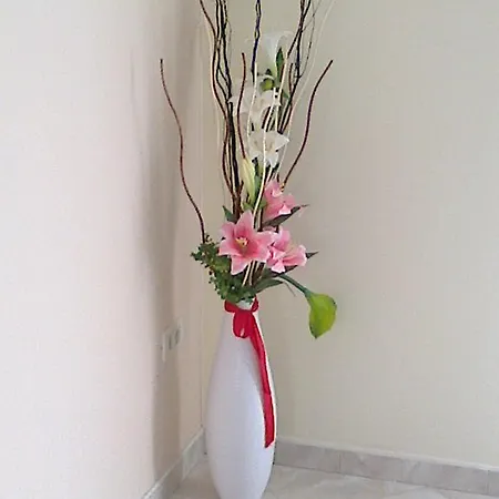 Marjan Tinjan